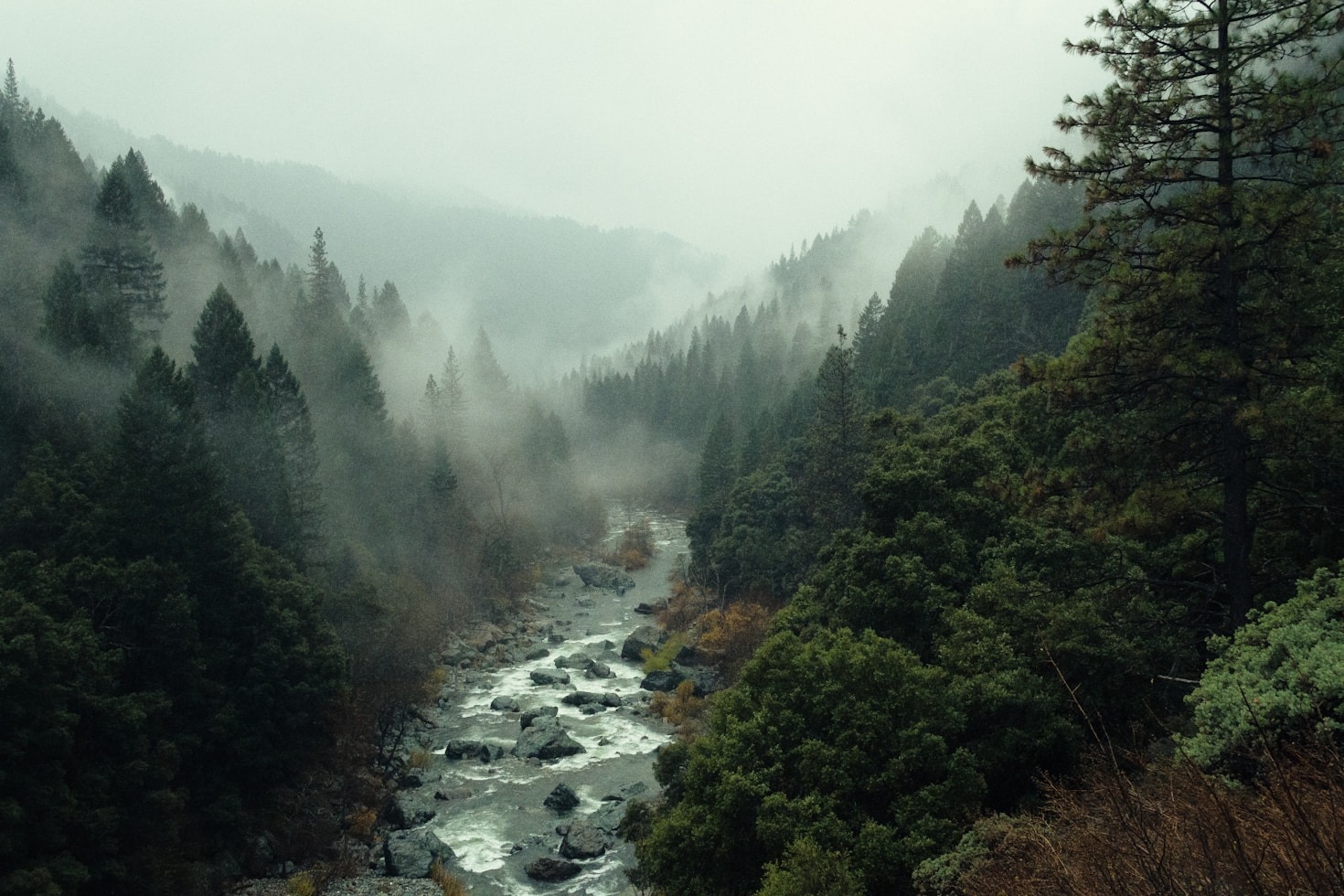 The Magic of Landscape Photography