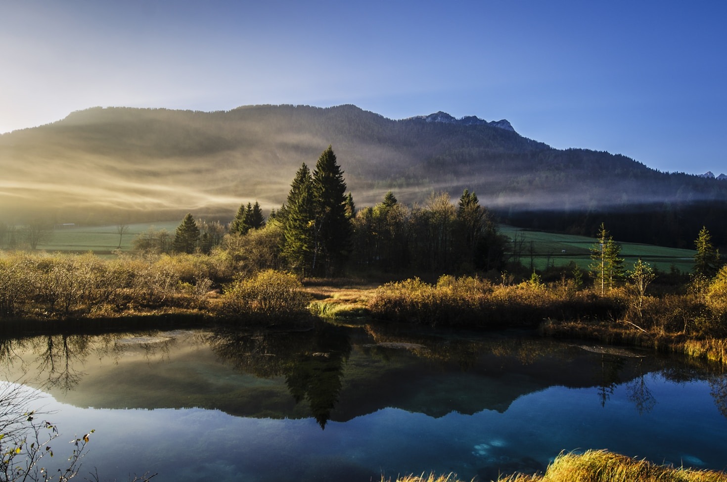 Behind the Lens: My Photography Journey